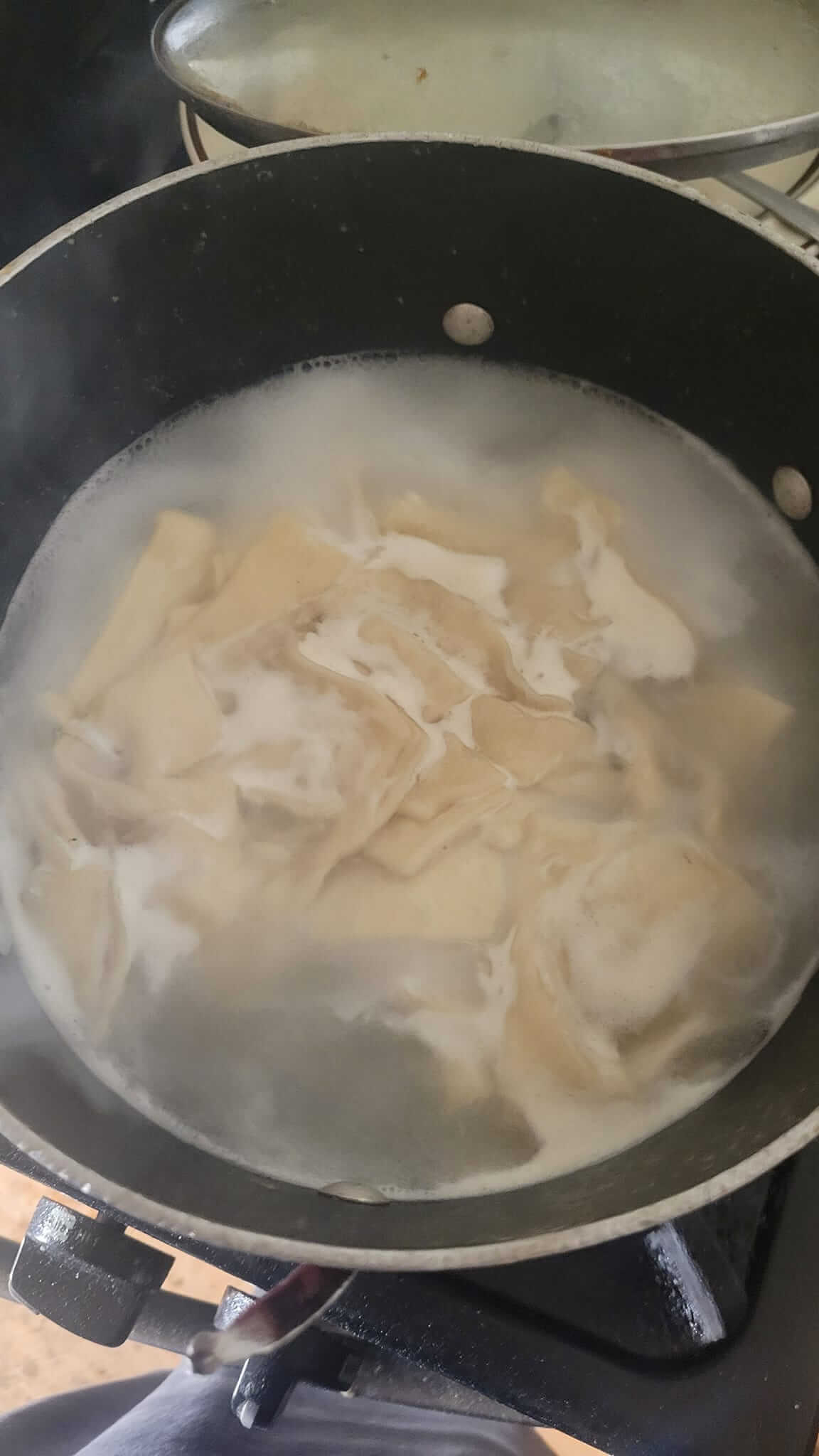 dumplings 04