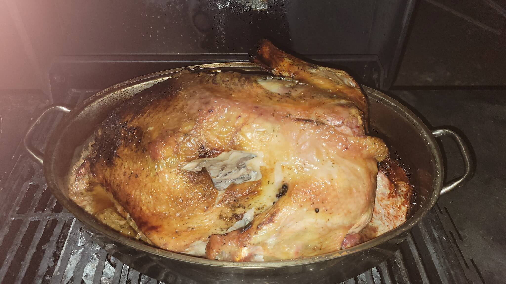 thanksgiving turkey