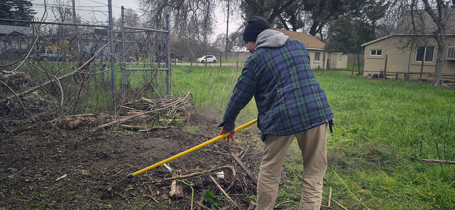 yard cleanup